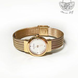 Skagen Rose Gold Stainless Steel Watch